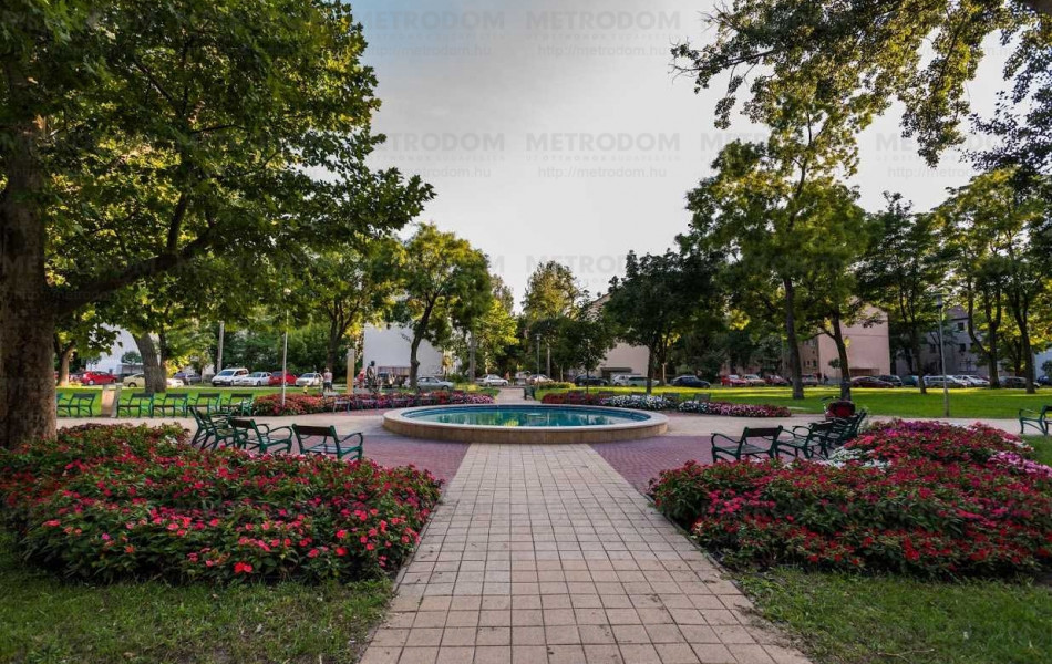 Sétálni vagy csak üldögélni egy szép parkban, ez is elérhető a Babér utca közelében.