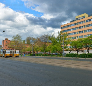 Adult Medical Center (Szegedi road, 7 minuts walking)